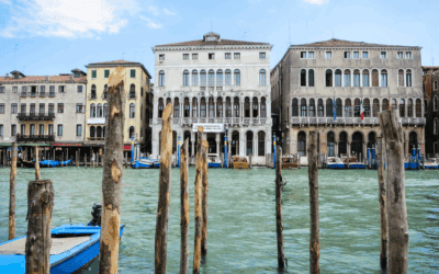 Biennale architettura 2025: “Intelligens” tra natura, tecnologia e collettività